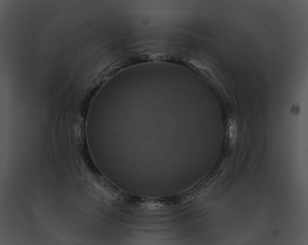 X0000091690650200708301541