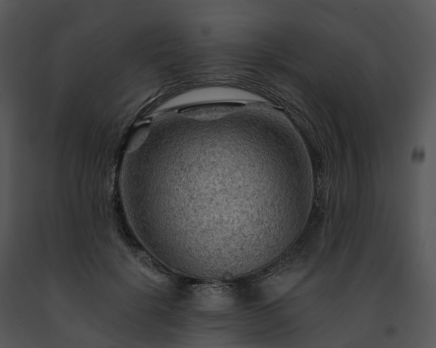 X0000091690652200708301541