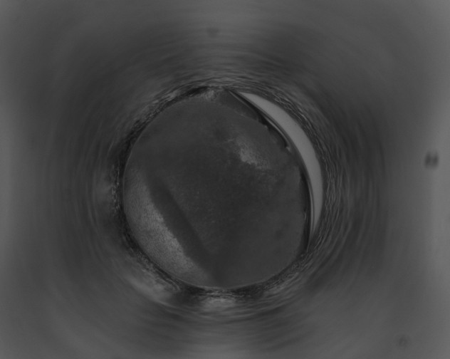 X0000091690653200708301541