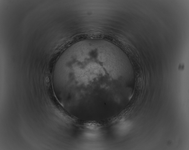 X0000091690654200708301541