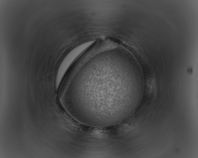 X0000091690657200708301541
