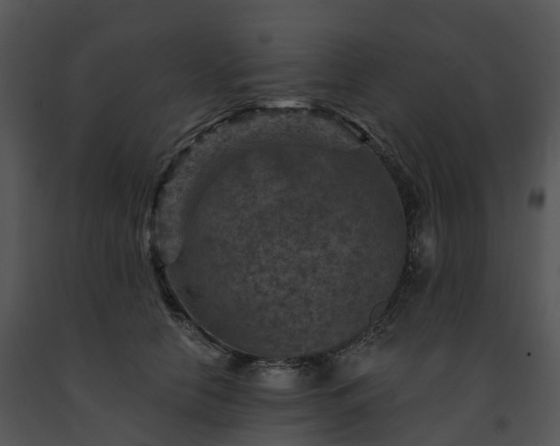 X0000091690658200708301541