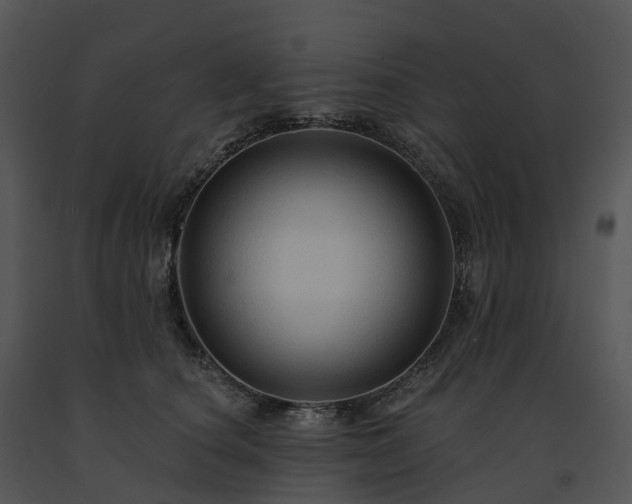 X0000091690660200708301541