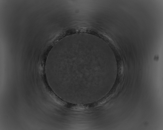 X0000091690661200708301541