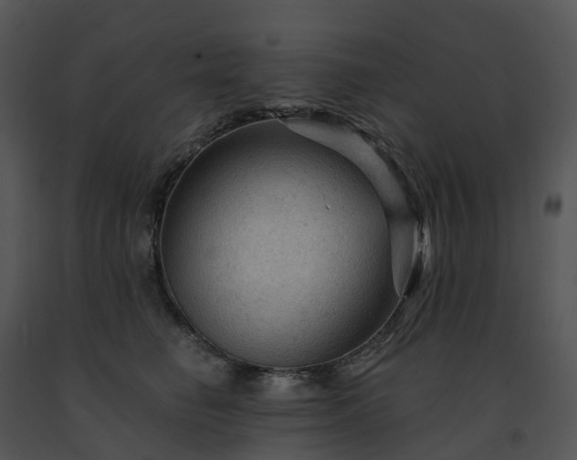X0000091690662200708301541