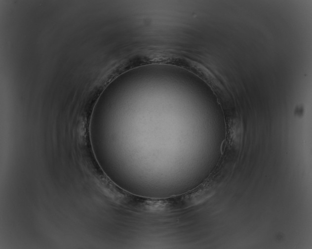 X0000091690667200708301541