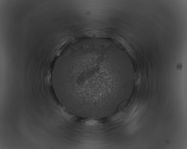X0000091690669200708301541