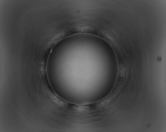 X0000091690670200708301541