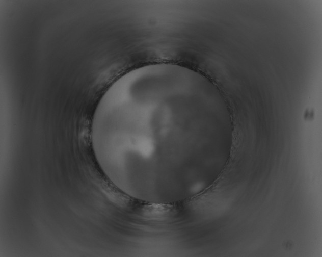 X0000091690672200708301541