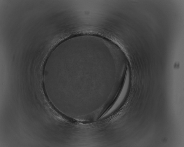 X0000091690673200708301541