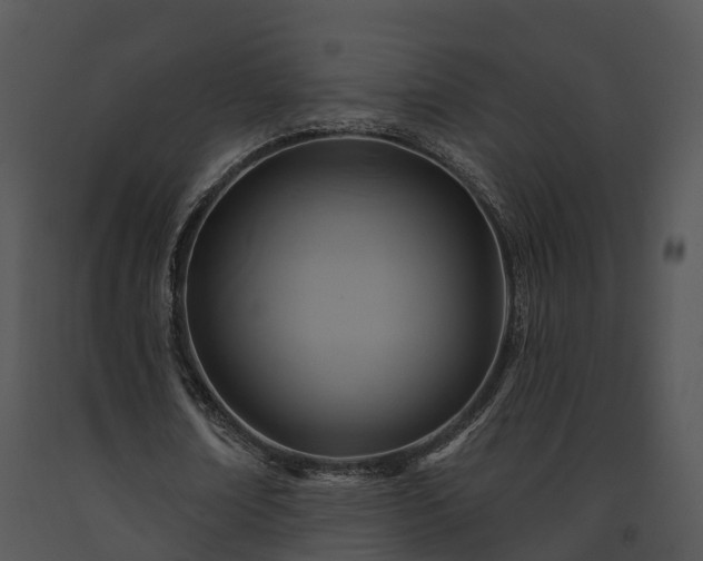 X0000091690674200708301541