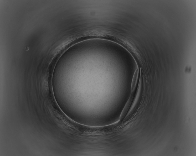 X0000091690675200708301541