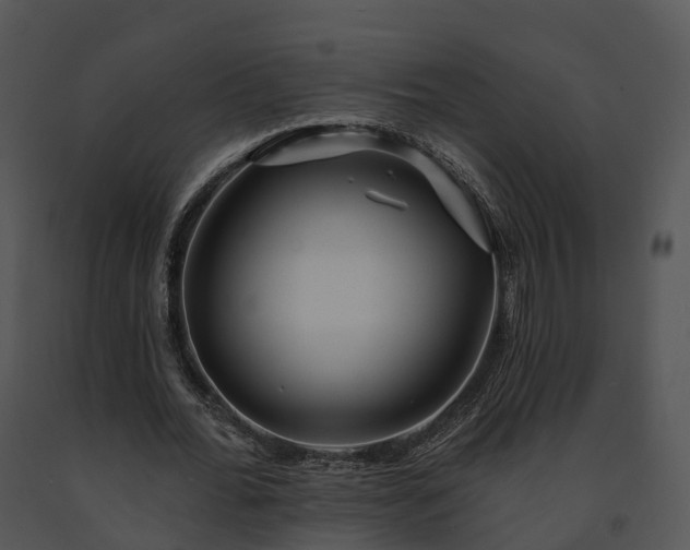 X0000091690676200708301541