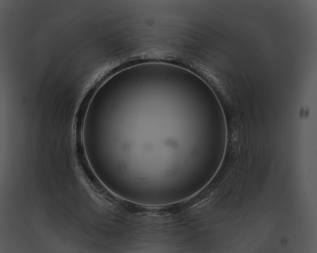 X0000091690678200708301541