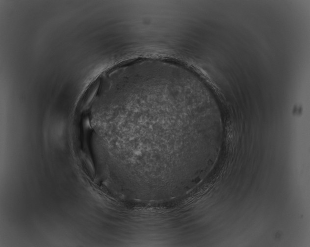 X0000091690679200708301541