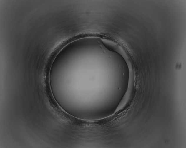 X0000091690680200708301541