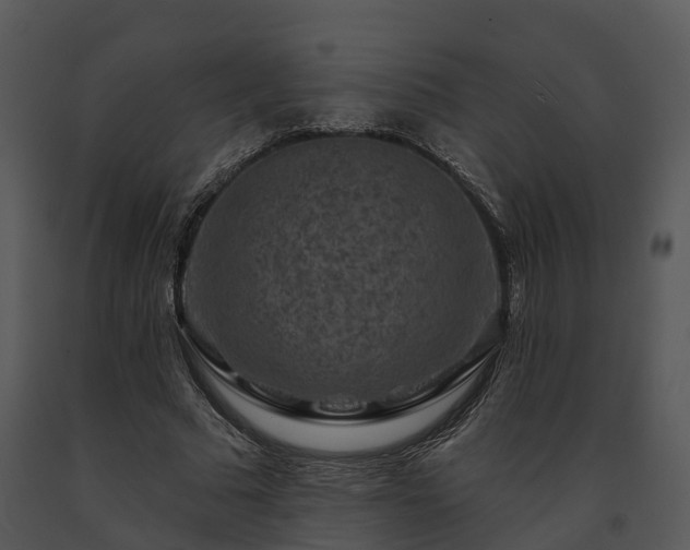 X0000091690681200708301541