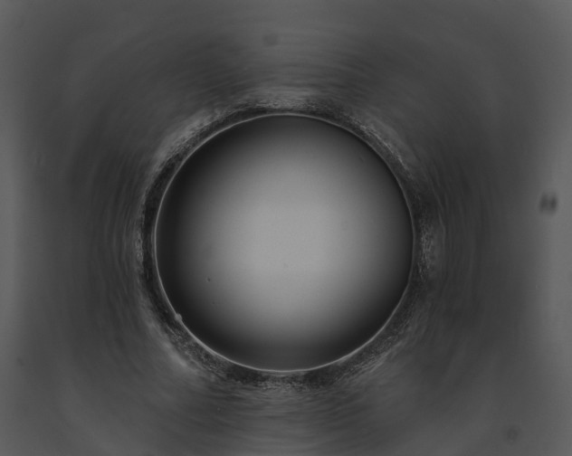 X0000091690682200708301541