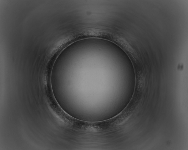 X0000091690683200708301541