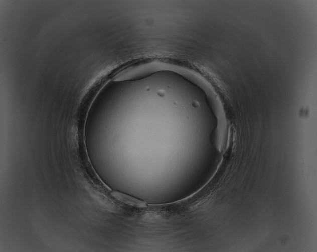X0000091690684200708301541
