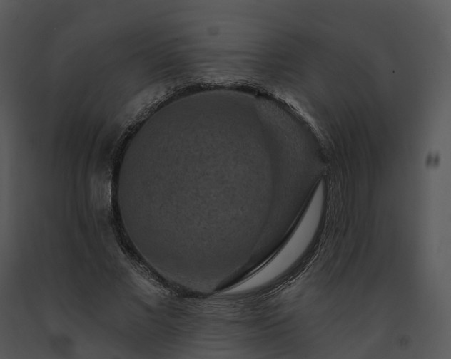 X0000091690685200708301541