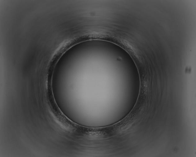 X0000091690686200708301541