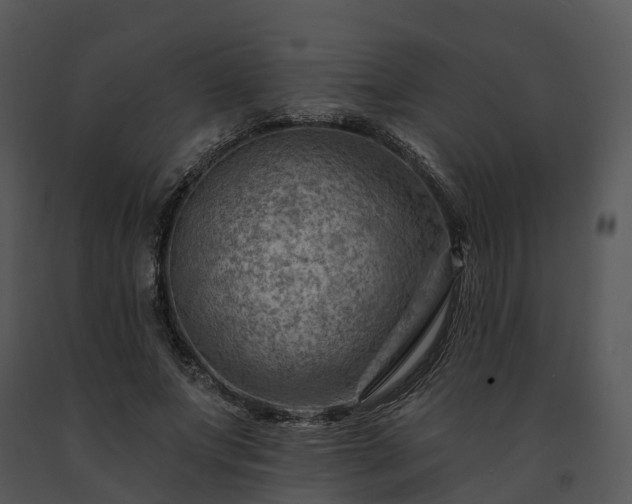 X0000091690687200708301541