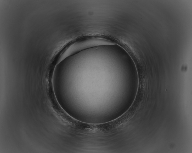 X0000091690688200708301541