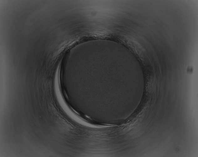 X0000091690689200708301541