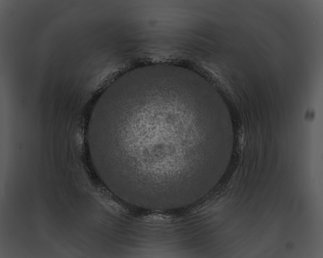 X0000091690691200708301541