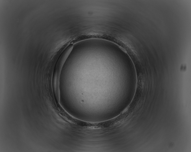 X0000091690692200708301541