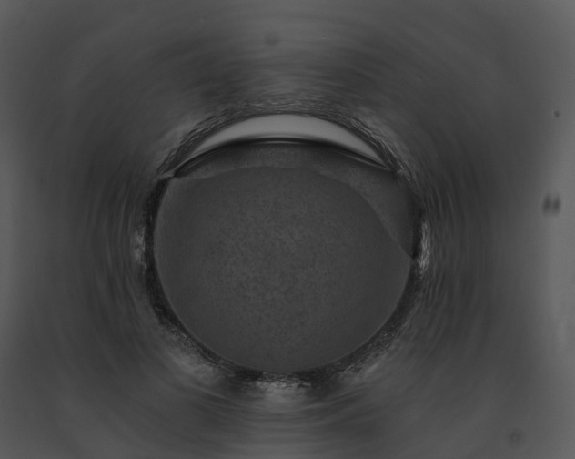 X0000091690693200708301541
