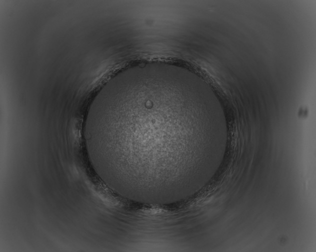 X0000091690695200708301541