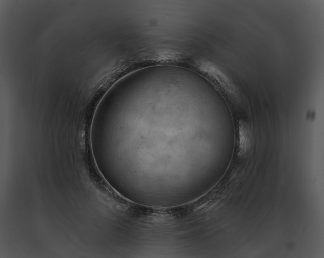 X0000091690696200708301541