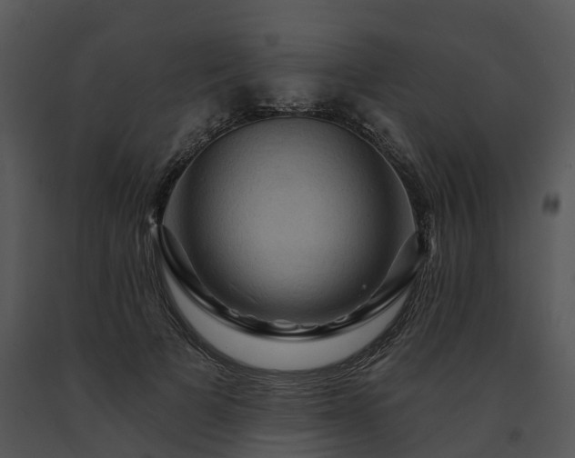 X0000091690697200708301541