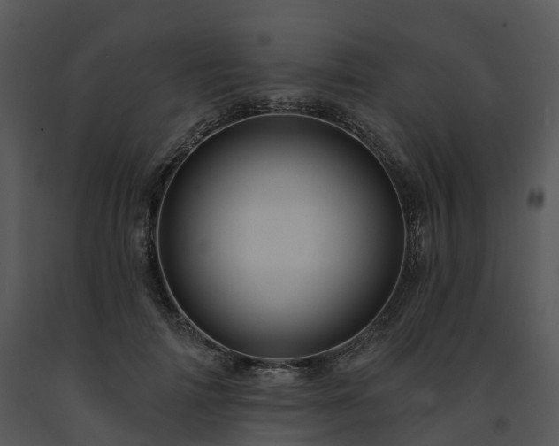X0000091690698200708301541