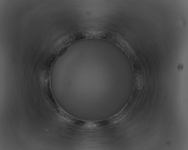 X0000091690701200708301540