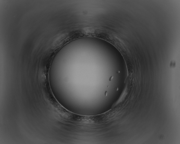 X0000091690702200708301540