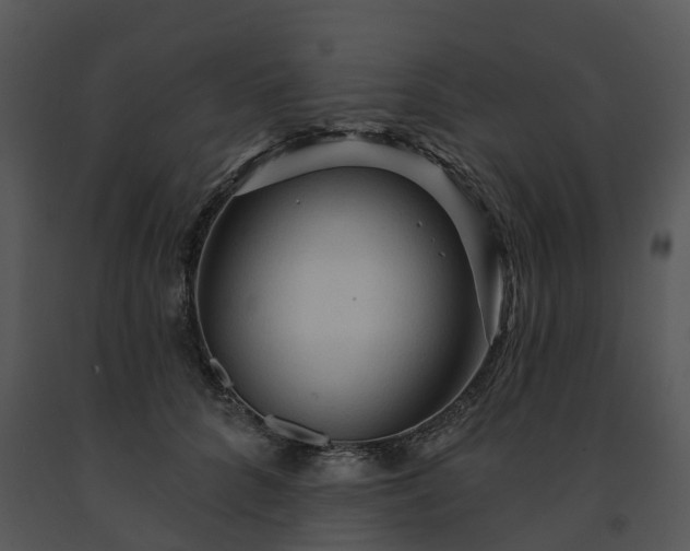 X0000091690704200708301540
