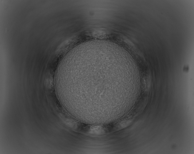 X0000091690705200708301540