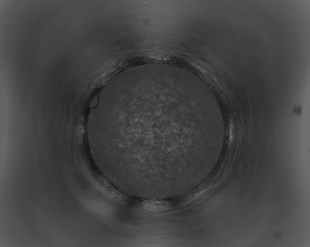 X0000091690707200708301540