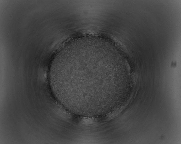 X0000091690709200708301540