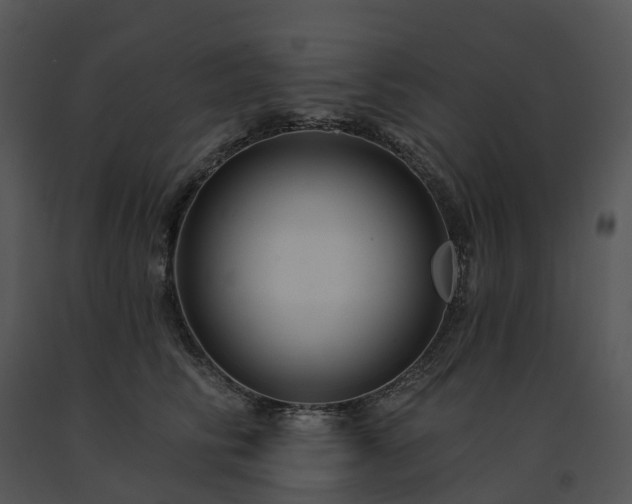 X0000091690710200708301540