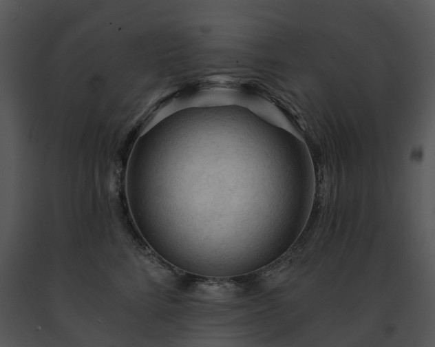 X0000091690712200708301540