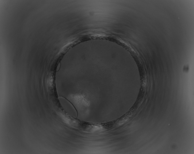 X0000091690715200708301540