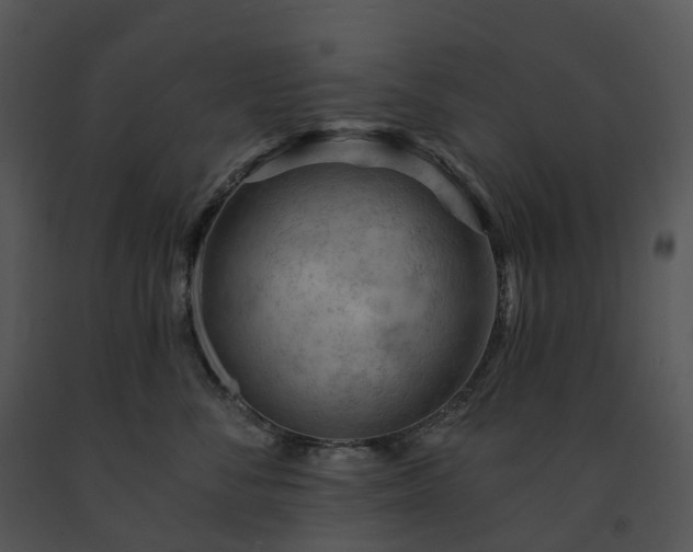 X0000091690716200708301540