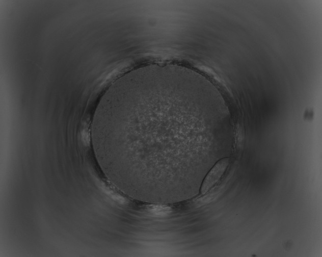 X0000091690719200708301540