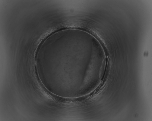 X0000091690721200708301540