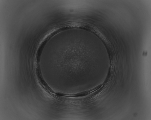 X0000091690722200708301540