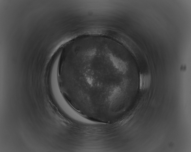 X0000091690723200708301540